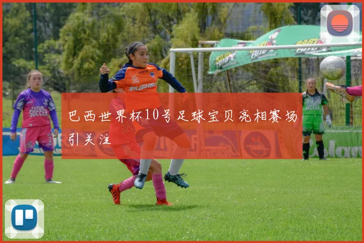 巴西世界杯10号足球宝贝亮相赛场引关注